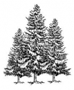 3 Bäume Grösse ca 58x70mm
