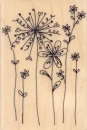 Holzstempel Winsome - Grösse 6x9 cm